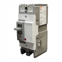 MCCB 2P (In 60A 30KA) LS
