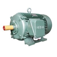 Động cơ điện 3 pha 75kW