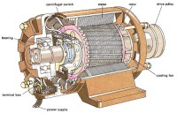 MOTOR A-S THAY ĐỔI TỐC ĐỘ BẰNG CÁCH ĐỔI CỰC P