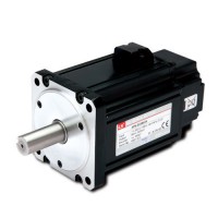 motor servo LS